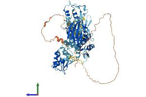 Protein Structure (PS) image for SMAD Specific E3 Ubiquitin Protein Ligase 1 (SMURF1) (AA 1-731) protein (His tag) (ABIN7564947)