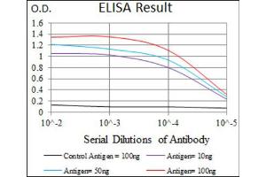 ELISA image for anti-Secretoglobin, Family 1A, Member 1 (Uteroglobin) (SCGB1A1) (AA 26-91) antibody (ABIN1846068)