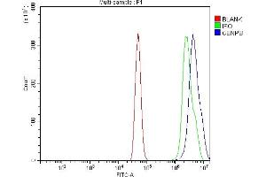 Flow Cytometry analysis of A431 cells using anti-CENPB antibody (ABIN7602867). (CENPB 抗体  (C-Term))