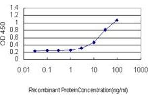 Detection limit for recombinant GST tagged BCAS2 is approximately 1ng/ml as a capture antibody. (BCAS2 抗体  (AA 116-225))