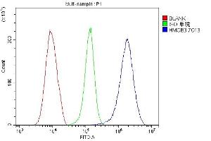 Flow Cytometry analysis of Hela cells using anti-HMGB3 antibody (ABIN7603126). (HMGB3 抗体  (N-Term))