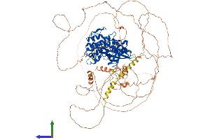Protein Structure (PS) image for AP2 associated kinase 1 (AAK1) (AA 1-961) protein (His tag) (ABIN7551753)