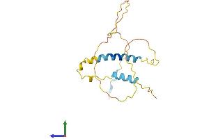 AlphaFold protein structure predicition of Human Recombinant BAD Protein, UniprotID Q92934