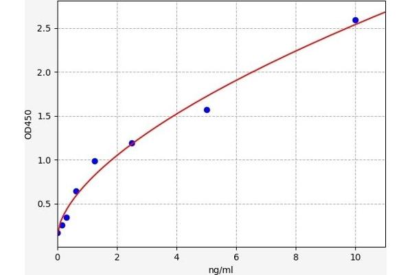 RRM1 ELISA 试剂盒