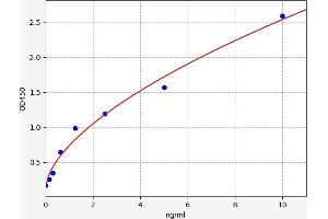 Typical standard curve (RRM1 ELISA 试剂盒)
