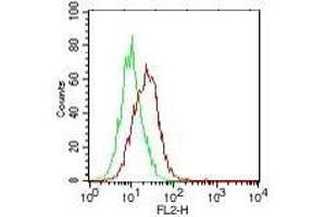 Anti-IL-17E Antibody - Flow Cytometry Cells: PC3 cells Primary antibody: 1 ug of IL-17E (red), control (green) Secondary antibody: anti-mouse IgG PE conjugated secondary antibody (IL-25 抗体  (Biotin))