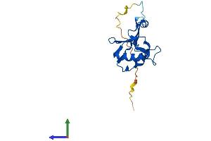Protein Structure (PS) image for Mitochondrial Ribosomal Protein L49 (MRPL49) (AA 1-166) protein (His tag) (ABIN7551457)