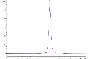 The purity of Rhesus macaque LILRB1 is greater than 95 % as determined by SEC-HPLC.