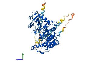 Protein Structure (PS) image for Mannosyl (Alpha-1,3-)-Glycoprotein beta-1,2-N-Acetylglucosaminyltransferase (MGAT1) (AA 1-445) protein (His tag) (ABIN7549386)