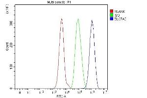 Flow Cytometry analysis of HepG2 cells using anti-CAT2/SLC7A2 antibody (ABIN7599517).