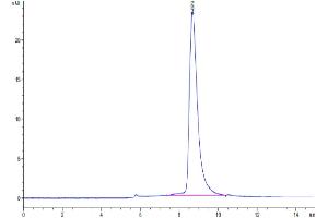 Size-exclusion chromatography-High Pressure Liquid Chromatography (SEC-HPLC) image for Lymphocyte-Activation Gene 3 (LAG3) (AA 23-434) protein (His tag) (ABIN7275113)