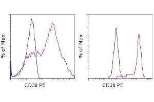 Flow Cytometry (FACS) image for anti-CD38 antibody (PE) (ABIN2144870) (CD38 抗体  (PE))
