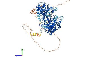 Protein Structure (PS) image for Polo-Like Kinase 3 (PLK3) (AA 1-646) protein (His tag) (ABIN7554995)