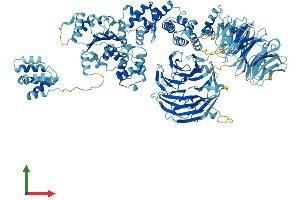 AlphaFold protein structure predicition of Mouse Recombinant Apaf1 Protein, UniprotID O88879