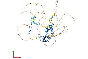 Protein Structure (PS) image for Mesoderm Induction Early Response 1, Family Member 3 (MIER3) (AA 1-550) protein (His tag) (ABIN7549375)