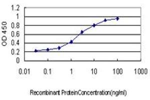 Detection limit for recombinant GST tagged F12 is approximately 0. (F12 抗体  (AA 191-300))