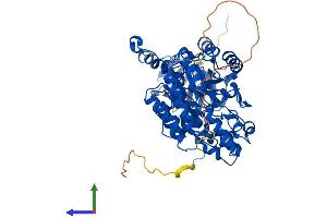 Protein Structure (PS) image for Dihydropyrimidinase-Like 5 (DPYSL5) (AA 1-564) protein (His tag) (ABIN7547174)