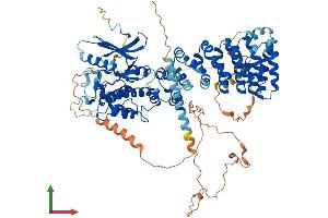Protein Structure (PS) image for SCY1-Like 1 (SCYL1) (AA 1-808) protein (His tag) (ABIN7554781)