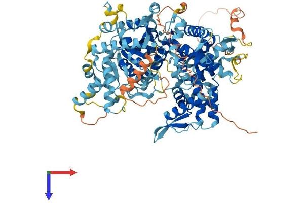 GPAT2 Protein (AA 1-801) (His tag)