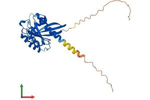 Protein Structure (PS) image for RAB33A, Member RAS Oncogene Family (RAB33A) (AA 1-237) protein (His tag) (ABIN7556840)