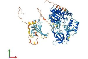 AlphaFold protein structure predicition of Mouse Recombinant Pif1 Protein, UniprotID Q80SX8
