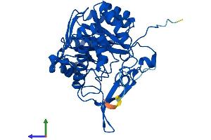 Protein Structure (PS) image for Guanosine Monophosphate Reductase 2 (GMPR2) (AA 1-348) protein (His tag) (ABIN7548076)