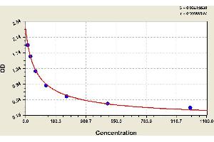 ELISA image for Amyloid beta 1-42 (Abeta 1-42) ELISA Kit (ABIN1118192) (Abeta 1-42 ELISA 试剂盒)