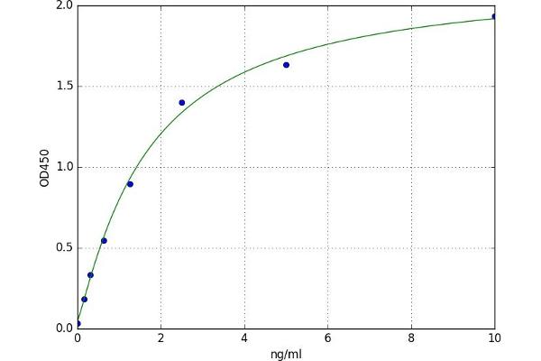 ASTL ELISA 试剂盒