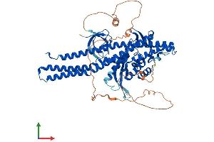 AlphaFold protein structure predicition of Human Recombinant SNX9 Protein, UniprotID Q9Y5X1