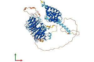 Protein Structure (PS) image for Katanin P80 (WD Repeat Containing) Subunit B 1 (KATNB1) (AA 1-658) protein (His tag) (ABIN7564331)