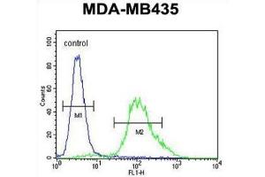 Flow Cytometry (FACS) image for anti-Zinc Finger Protein 98 (ZNF98) antibody (ABIN2995694) (ZNF98 抗体)
