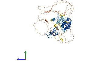 AlphaFold protein structure predicition of Human Recombinant HGS Protein, UniprotID O14964