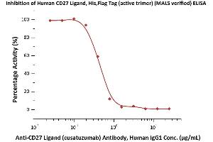 Serial dilutions of A Ligand (cusatuzumab) Antibody, Human IgG1 were added into Human CD27 Ligand, His,Flag Tag (active trimer) (MALS verified) (ABIN6951037,ABIN6952264) : Biotinylated Human CD27, Fc,Avitag (ABIN4949011,ABIN4949012) binding reactions. (CD70 Protein (AA 52-193) (DYKDDDDK Tag,His tag))