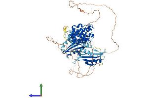 Protein Structure (PS) image for Maternal Embryonic Leucine Zipper Kinase (MELK) (AA 1-651) protein (His tag) (ABIN7554512)