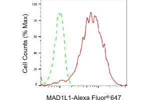 anti-MAD1 Mitotic Arrest Deficient-Like 1 (MAD1L1) antibody