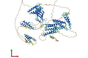 AlphaFold protein structure predicition of Mouse Recombinant Cc2d1a Protein, UniprotID Q8K1A6 (CC2D1A Protein (AA 1-943) (His tag))