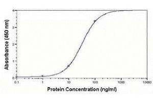 ELISA image for anti-Low Density Lipoprotein (LDL) antibody (ABIN2467932) (LDL 抗体)
