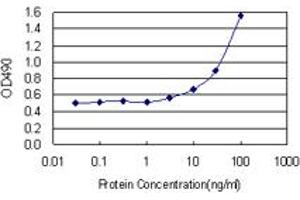 Sandwich ELISA detection sensitivity ranging from 3 ng/mL to 100 ng/mL.