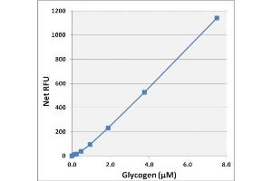 Biochemical Assay (BCA) image for Glycogen Assay Kit (Fluorometric) (ABIN5067566)