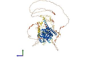 Protein Structure (PS) image for Protein Associated with Topoisomerase II Homolog 1 (PATL1) (AA 1-770) protein (His tag) (ABIN7554856)