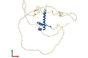 Protein Structure (PS) image for Homeobox C10 (HOXC10) (AA 1-342) protein (His tag) (ABIN7548378)