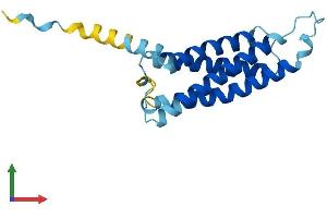 Protein Structure (PS) image for MARVEL Domain Containing 1 (MARVELD1) (AA 1-173) protein (His tag) (ABIN7558275)