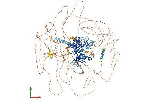 Protein Structure (PS) image for Apoptosis-Associated tyrosine Kinase (AATK) (AA 1-1374) protein (His tag) (ABIN7554439)
