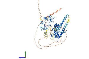 Protein Structure (PS) image for PHD Finger Protein 10 (PHF10) (AA 1-497) protein (His tag) (ABIN7564997)