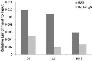 Chromatin immunoprecipitation analysis extracts of HCT116 cell line, using IRF3 rabbit polyclonal antibody and rabbit IgG. (IRF3 抗体)