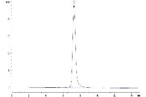 Size-exclusion chromatography-High Pressure Liquid Chromatography (SEC-HPLC) image for Angiotensin I Converting Enzyme 2 (ACE2) (AA 18-740) protein (His tag) (ABIN7273791)