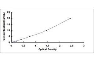 Typical standard curve (Aquaporin 8 ELISA 试剂盒)