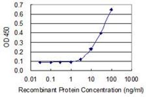 Detection limit for recombinant GST tagged ZNF350 is 1 ng/ml as a capture antibody. (ZNF350 抗体  (AA 1-532))