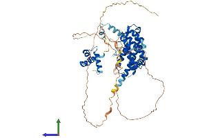 AlphaFold protein structure predicition of Mouse Recombinant Terf2 Protein, UniprotID O35144