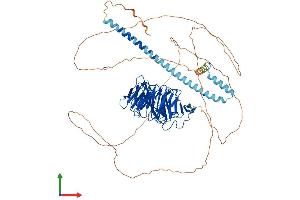 AlphaFold protein structure predicition of Mouse Recombinant Tle3 Protein, UniprotID Q08122 (TLE3 Protein (AA 1-772) (His tag))